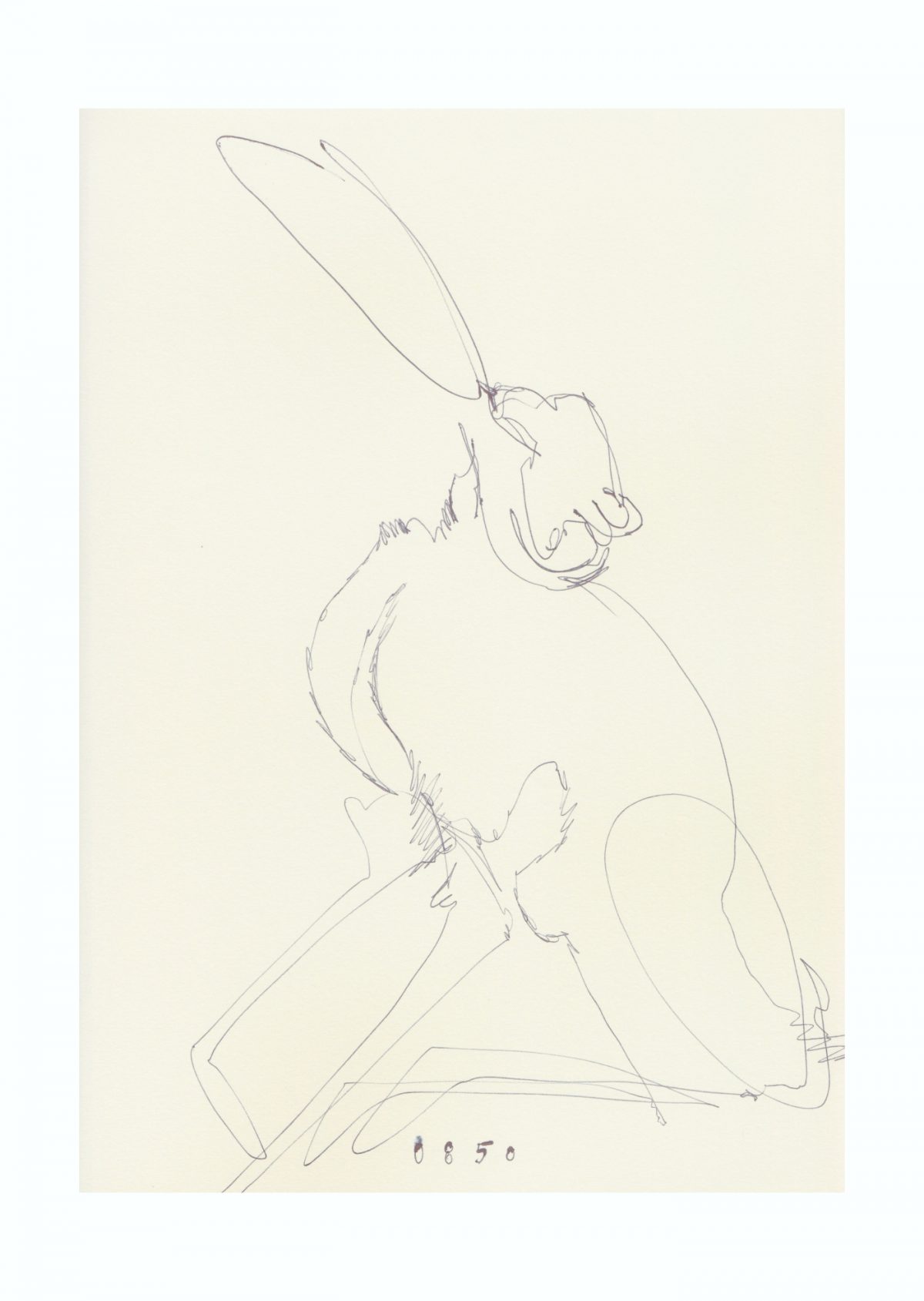 Tina Oelker, Hase # 0850 Print, limited edition