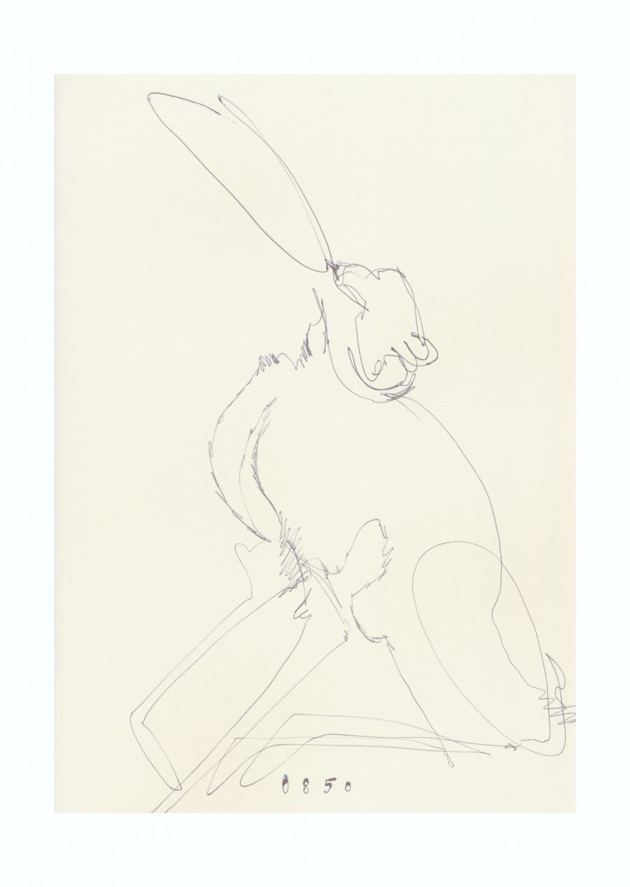 Tina Oelker, Hase # 0850 Print, limited edition